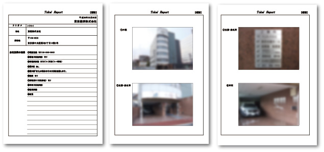 現地確認レポートサンプル